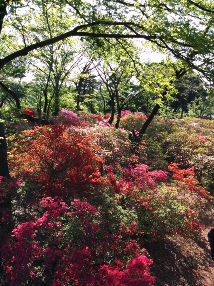 清水公園（千葉県野田市）