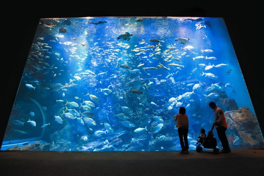 男鹿水族館GAO(秋田県男鹿市)